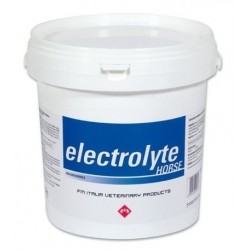 Electrolyte Horse
