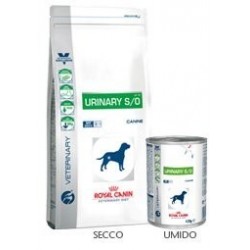 Royal Canin Urinary S O 410gr