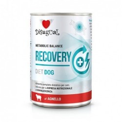DISUGUAL RECOVERY 400gr...