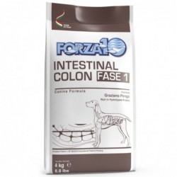 FORZA10  Active Colon Fase1