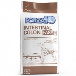 FORZA10  Active Colon Fase2