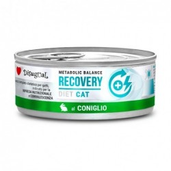 DISUGUAL RECOVERY CAT 85GR